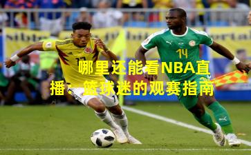 哪里还能看NBA直播:篮球迷的观赛指南