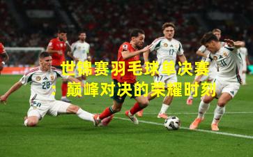  世锦赛羽毛球单决赛：巅峰对决的荣耀时刻