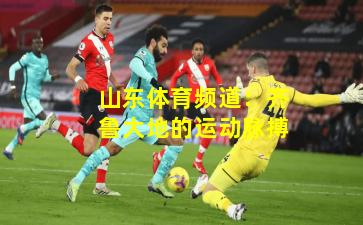 山东体育频道:齐鲁大地的运动脉搏