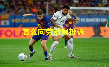 怎么向劳动局投诉