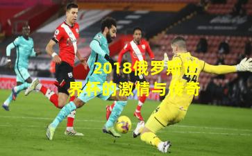 2018俄罗斯世界杯的激情与传奇